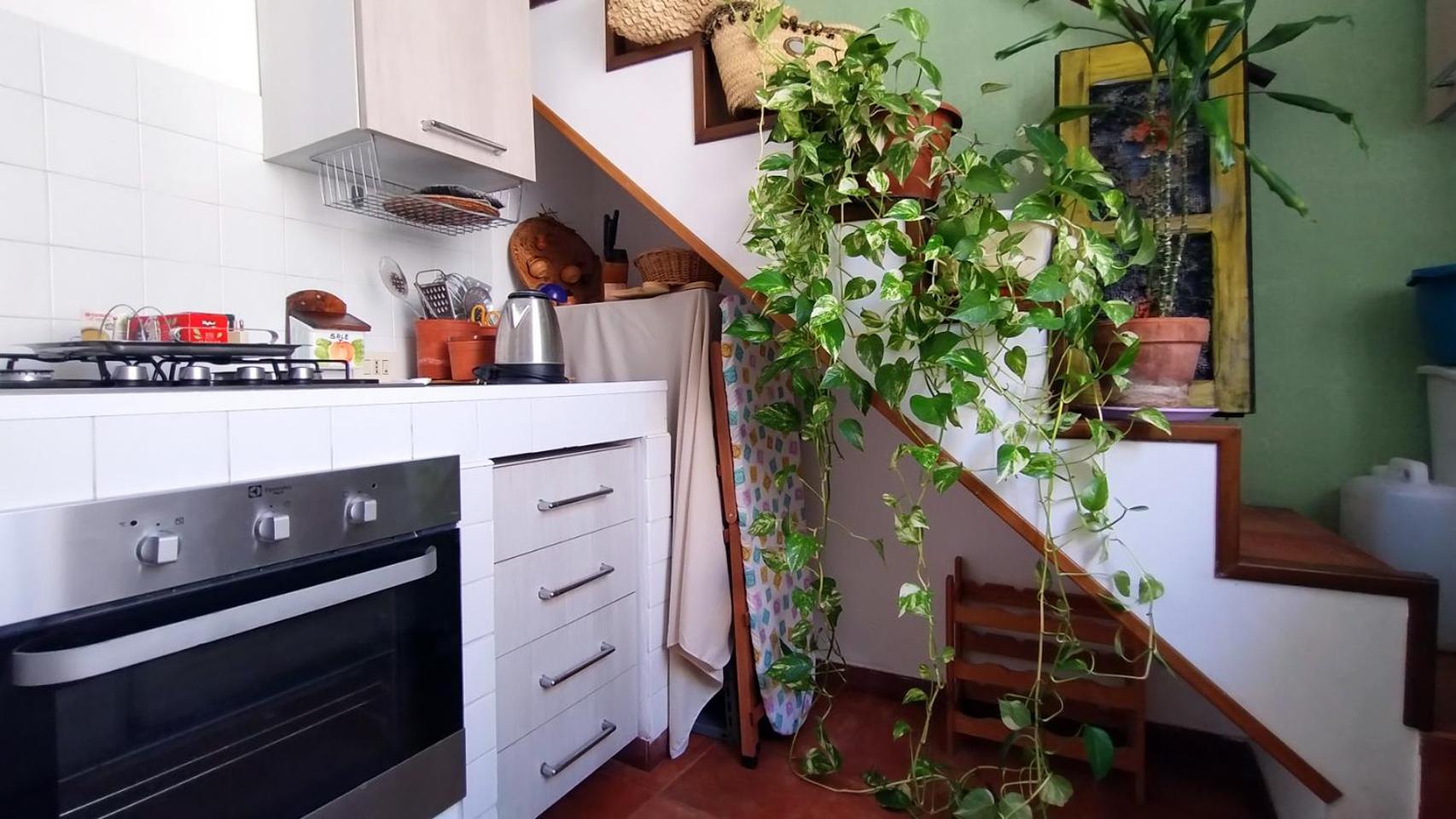 Olivuzza Guest house *